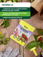 Корневин Фаско 4г