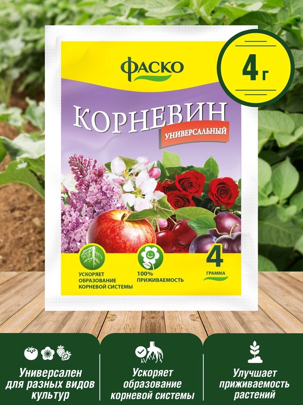 Корневин Фаско 4г