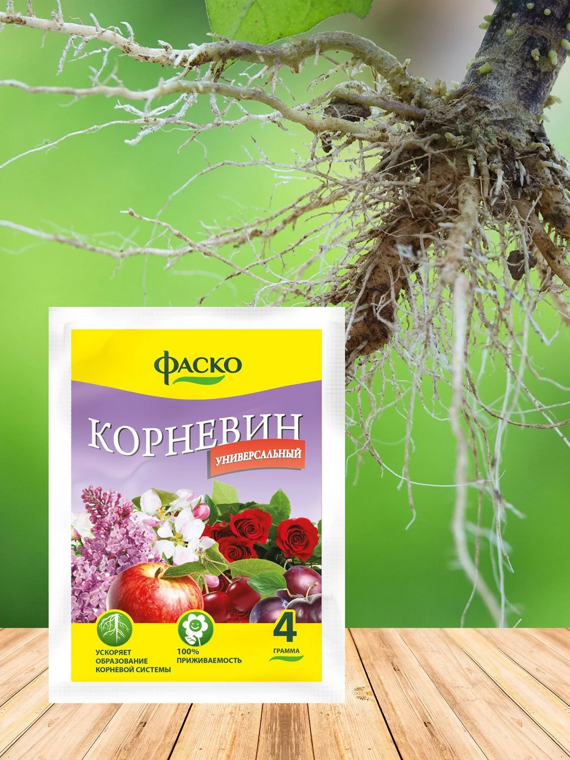 Корневин Фаско 4г