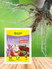 Корневин Фаско 4г