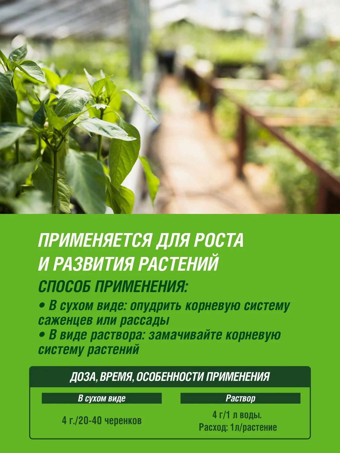 Корневин Фаско 4г