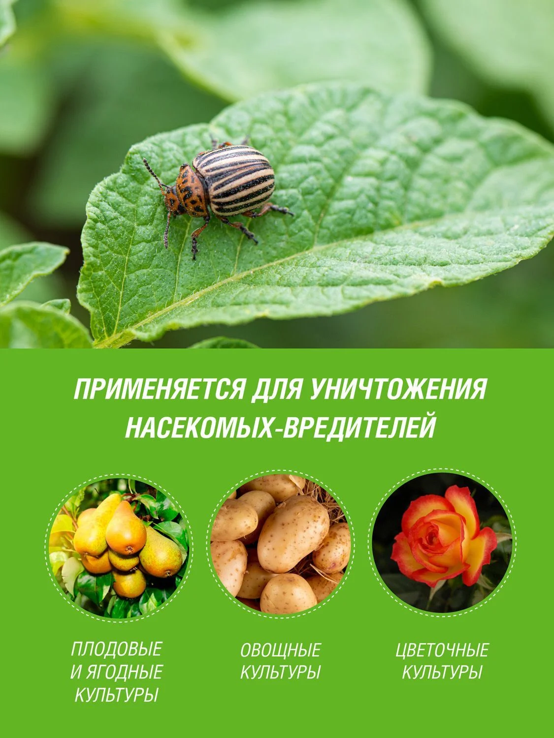 Средство Битоксибациллин Инта Вир100г