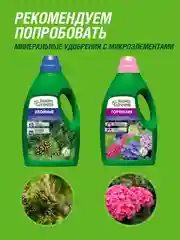 Удобрение жидкое Робин Грин минеральное для Роз 1л