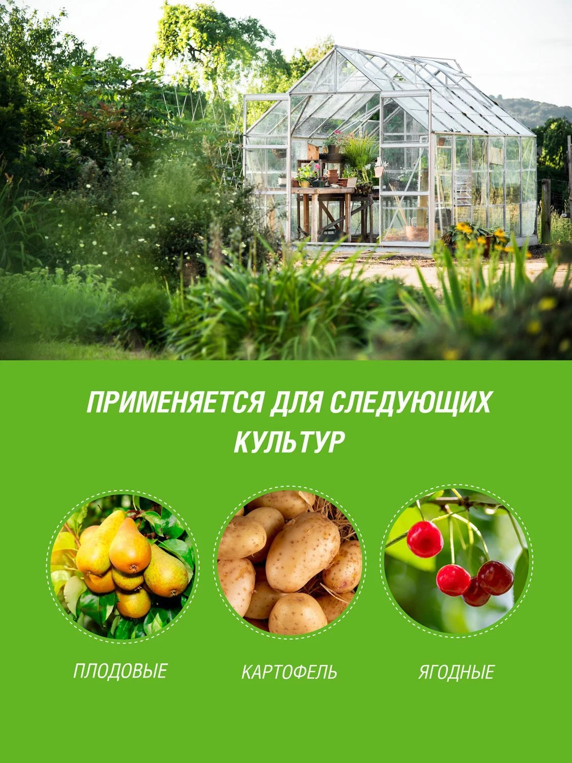 Бордоская смесь Инта Вир 200г