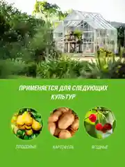 Бордоская смесь Инта Вир 200г