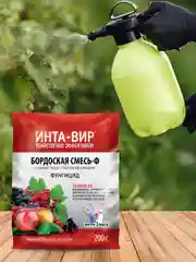 Бордоская смесь Инта Вир 200г