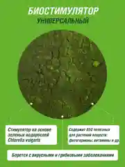 Хлорелла Инта Вир 50 мл