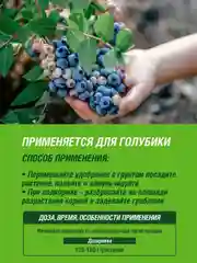 Удобрение сухое Робин Грин органоминеральное для голубики коробка 1 кг