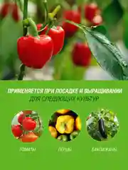 Грунт для томатов и перцев Фаско Малышок