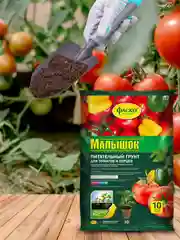 Грунт для томатов и перцев Фаско Малышок