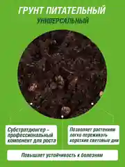 Грунт для комнатных растений Фаско БИО 10 литров