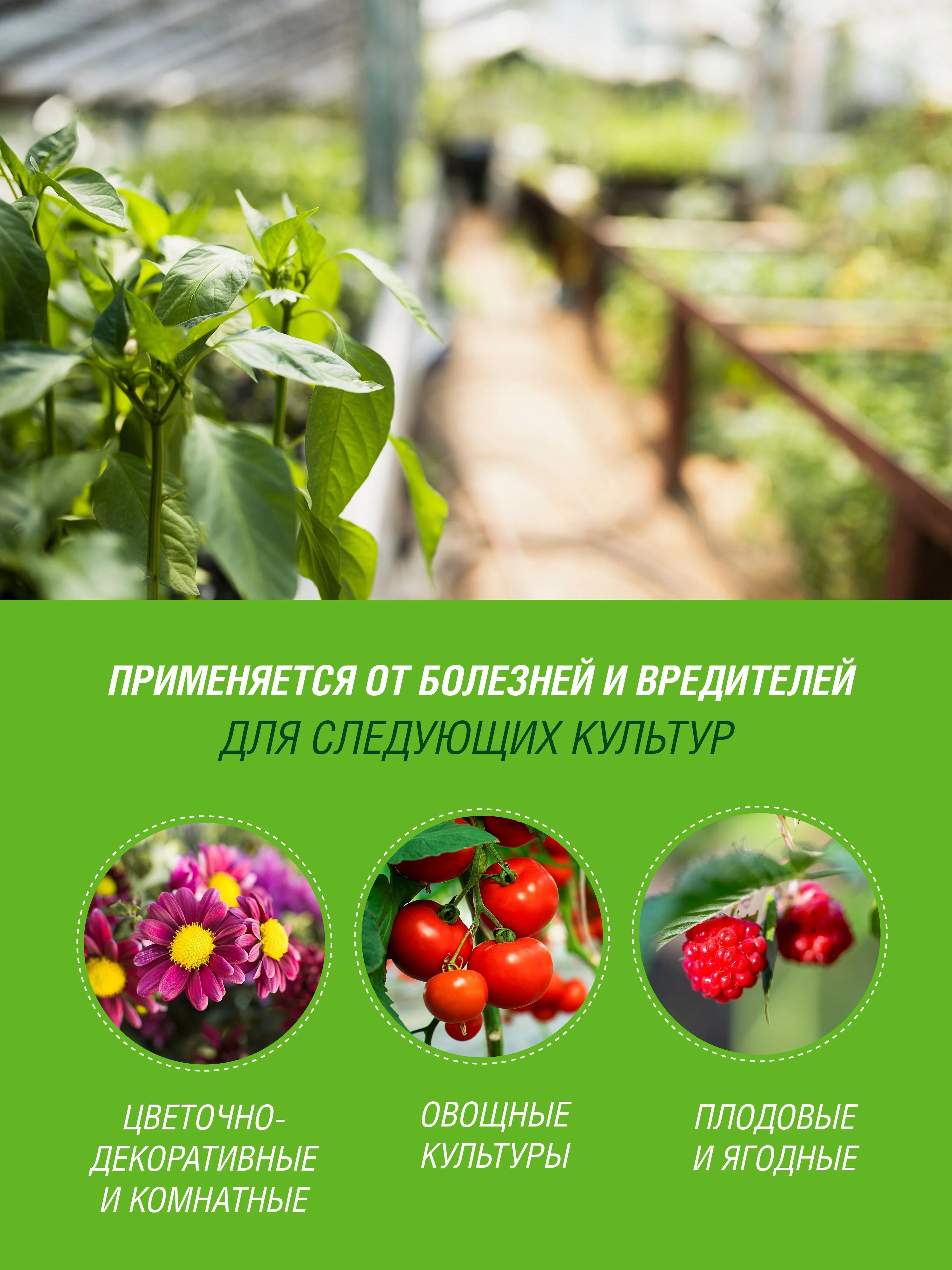 Средство Зеленое мыло Инта Вир 250мл