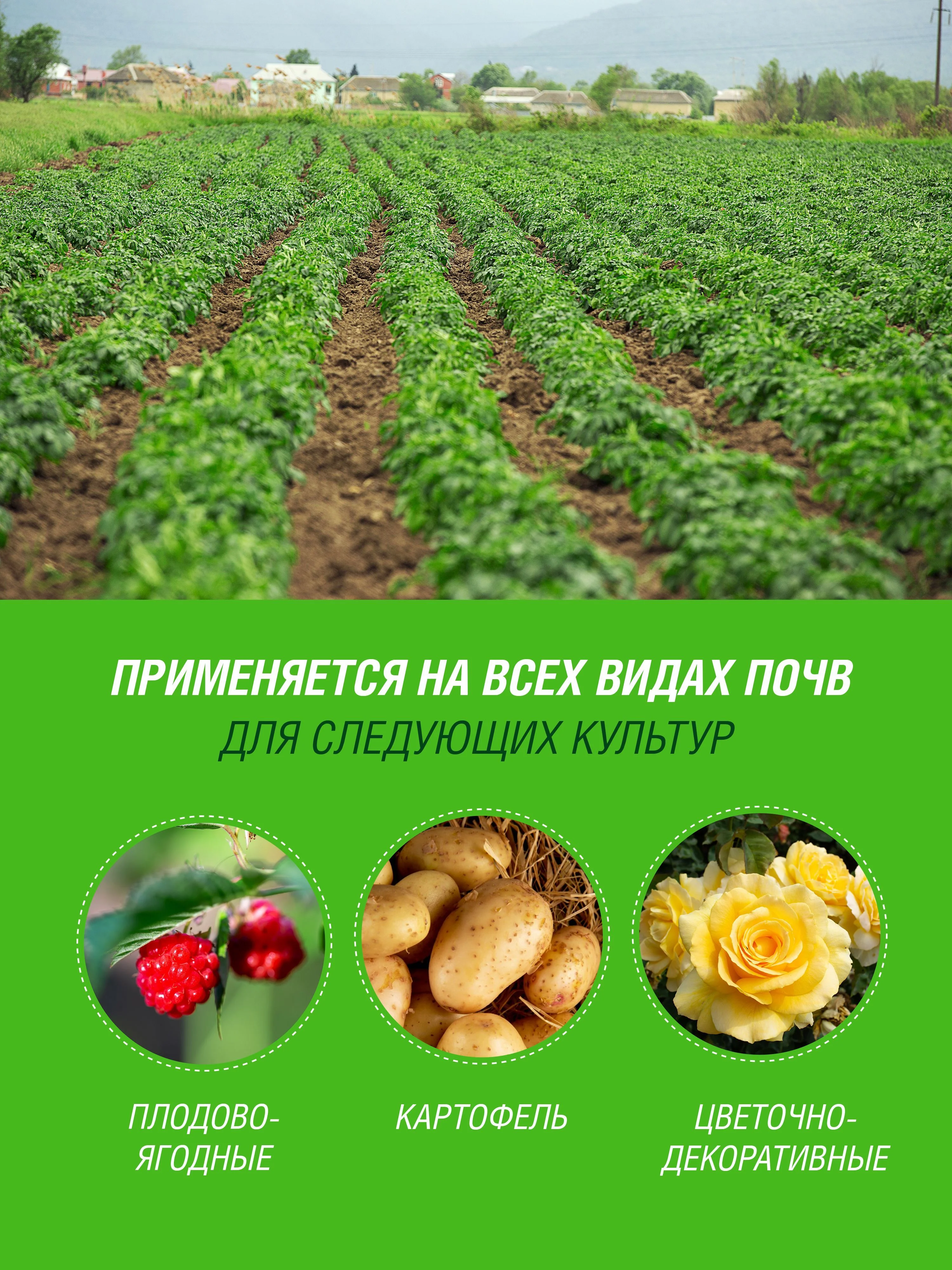 Удобрение жидкое Огородник Бочка и четыре ведра Биогумус органоминеральное 0,6л