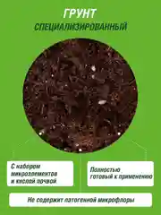 Грунт для вересковых растений, голубики, азалии Робин Грин прессованный 25 л