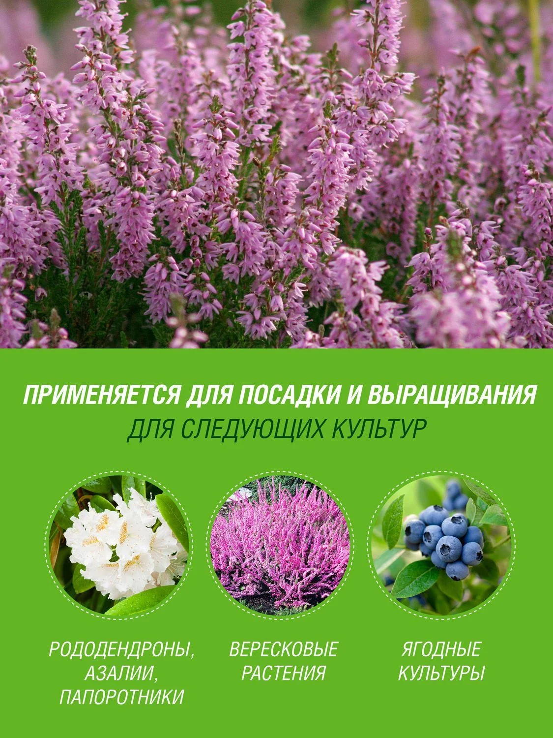 Грунт для вересковых растений, голубики, азалии Робин Грин прессованный 25 л