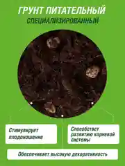 Грунт для лимона и цитрусовых Фаско Цветочное счастье 5 литров