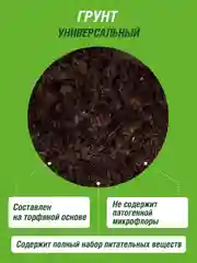 Грунт для рассады Фаско Крепыш
