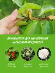 Табачная пыль Инта вир 1кг