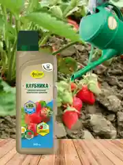 Удобрение жидкое Фаско органоминеральное для Клубники 500 мл