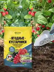 Удобрение сухое Фаско 5М минеральное для Ягодных кустарников гранулированное 1 кг