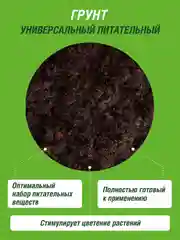Грунт для цветов Фаско Цветочный