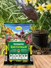 Грунт для цветов Фаско Цветочный