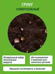 Грунт для цветов Фаско Цветочный