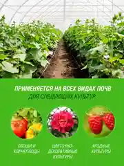 Удобрение жидкое Огородник Бочка и четыре ведра органоминеральное Куриный Помет 0,6л