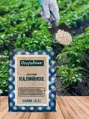 Удобрение сухое Огородник Калийное минеральное гранулированное 0,7кг