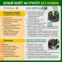 Грунт плодородная земля Фаско БИО 22 литра