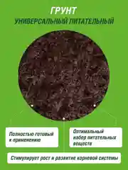 Грунт универсальный Фаско