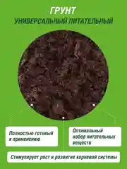 Грунт универсальный Фаско
