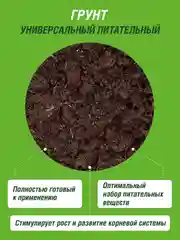 Грунт универсальный Фаско