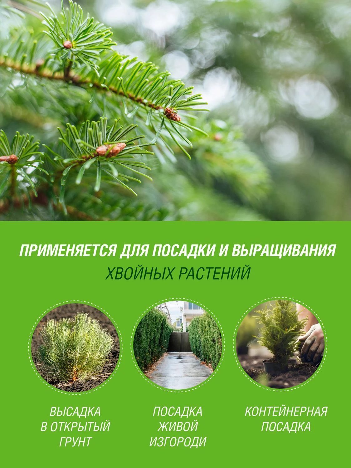 Грунт для Хвойных Фаско 50 литров