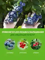 Грунт для Голубики Брусники Клюквы Робин Грин прессованный 25 л