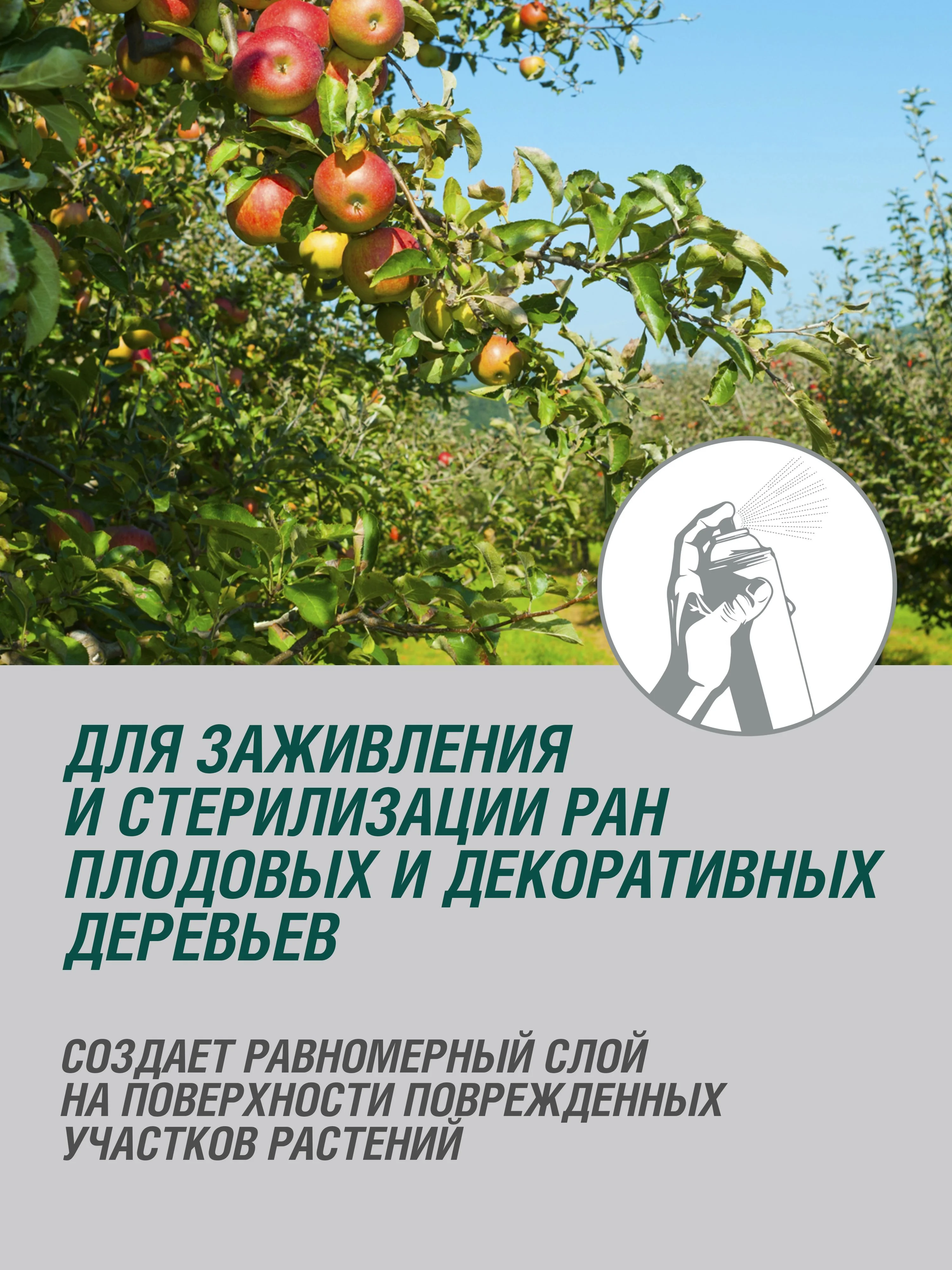 Био-бальзам защита садовых деревьев от насекомых и болезней, заживления ран, вар аэрозоль
