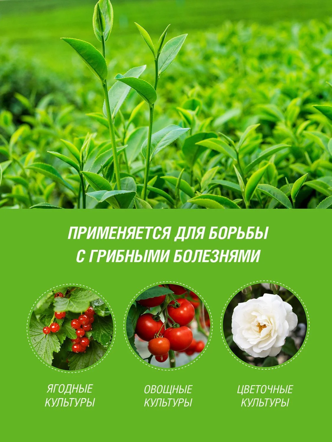 Средство Алирин Б Инта Вир 10 таб.