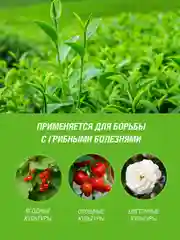 Средство Алирин Б Инта Вир 10 таб.