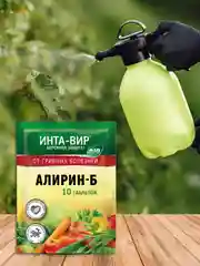 Средство Алирин Б Инта Вир 10 таб.