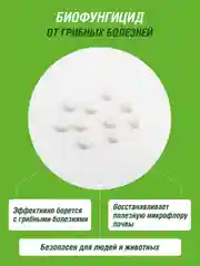 Средство Алирин Б Инта Вир 10 таб.