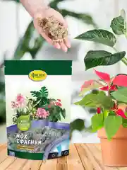 Мох Сфагнум Фаско Цветочное счастье дойпак 1л