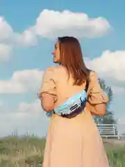 Небесно-голубой сумка-бананка, на пояс, 10 видов