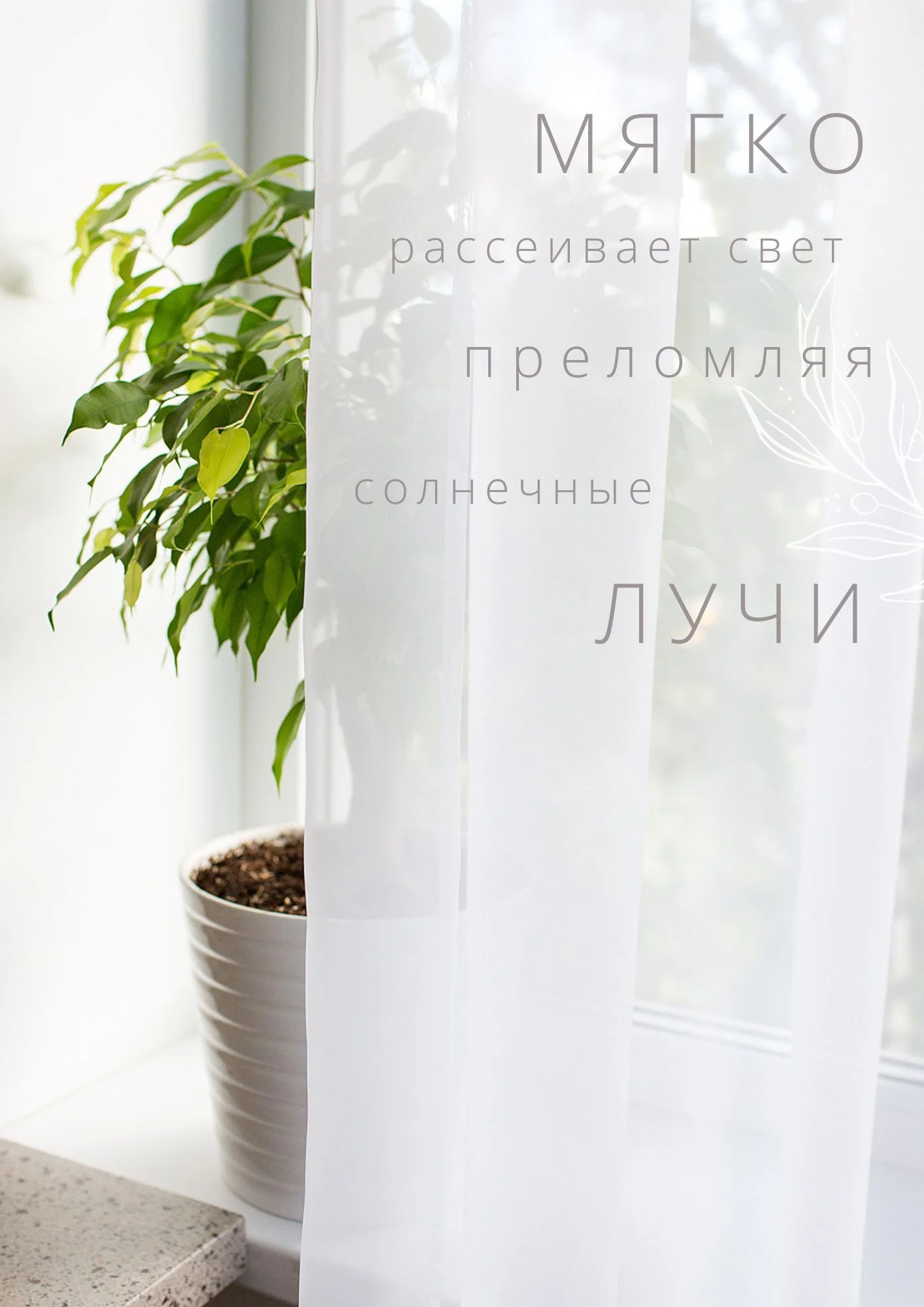Тюль, вуаль, 300 х 260, в гостиную, однотонный