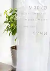 Тюль, вуаль, 300 х 260, в гостиную, однотонный