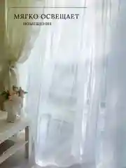 Тюль, вуаль, 300 х 260, в гостиную, однотонный