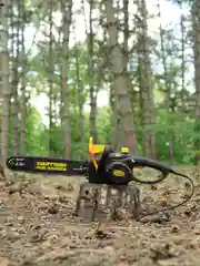 Пила цепная электрическая Partner for Garden ES-350(1800Вт,14"/ 35см шина,цепь 3/8-1,3-52)