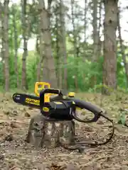 Пила цепная электрическая Partner for Garden ES-350(1800Вт,14"/ 35см шина,цепь 3/8-1,3-52)