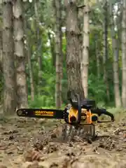 Бензопила цепная Partner for Garden GS 180 1.5 л.с, 2 кВт, 49,3 см3, лёгкий запуск
