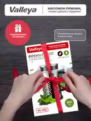 Френч-пресс Valleya VL172, пластиковая ручка, 600 мл