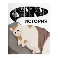 Комплект предметных тетрадей 36 листов "Животные мемы", 12 предметов, со справ.материалом